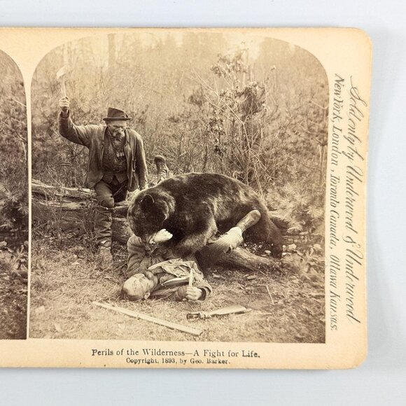 Antique Stereoview card of a Bear Attack "Perils of the Wilderness" Prize - Picture 1 of 9